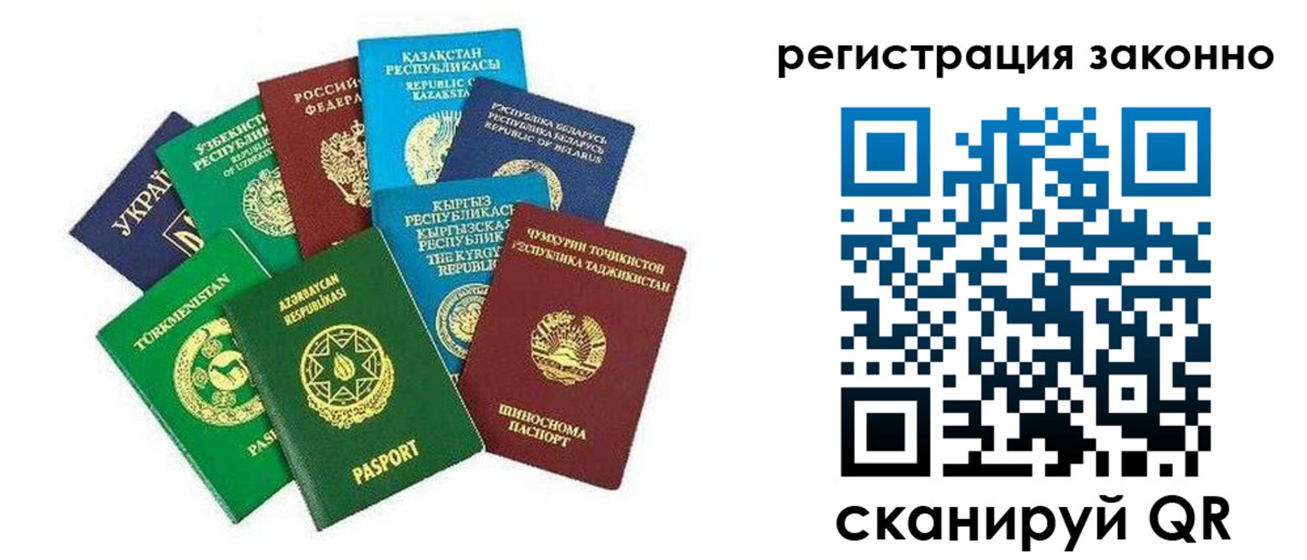прописка 2025 в Чкаловске