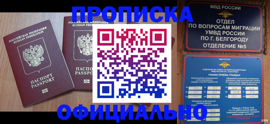 найти адрес прописки в Чкаловске